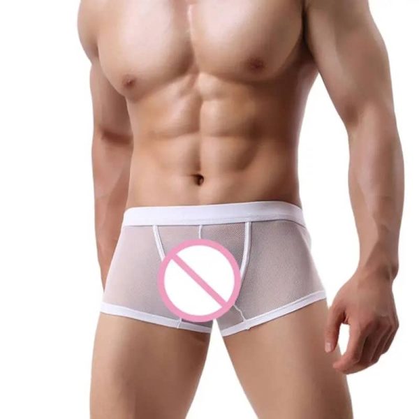 Boxer Transparente Blanco | Elegancia y Sensualidad